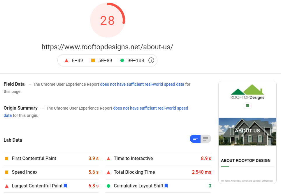 screenshot of pagespeed insights report