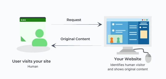 Human User Visit - How Prerender.io Works
