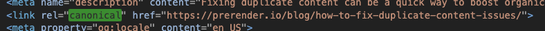 canonical tag